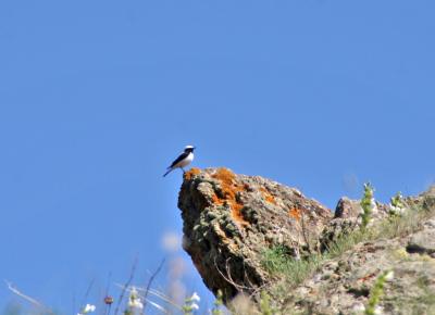 Прикрепленное изображение: zb44.jpg